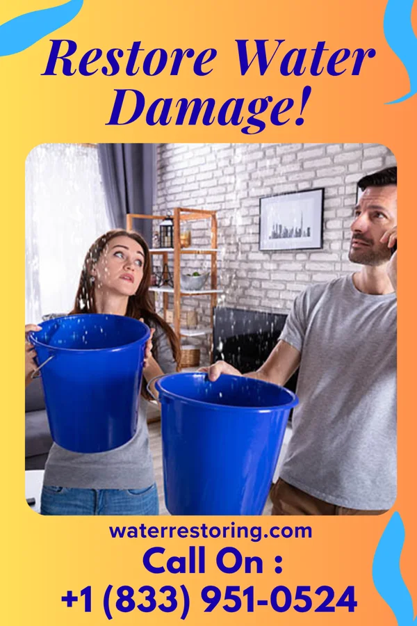 water restoration Ultimate Storm Recovery Group Wellington