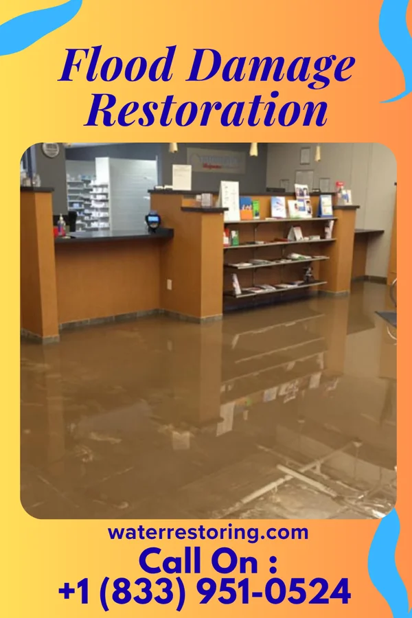 Flood Damage Restoration in Wellington, KY