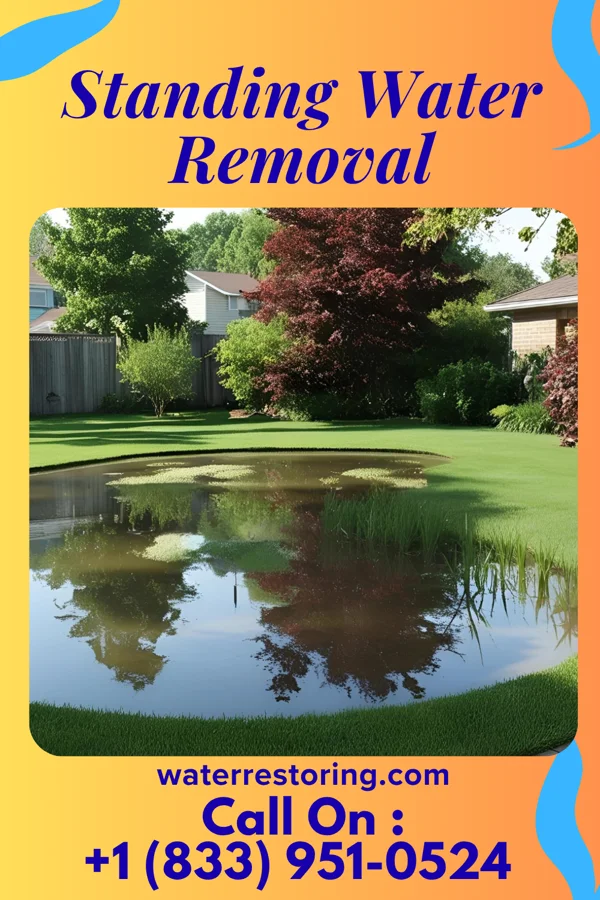 Standing Water Removal in Wellington, KY